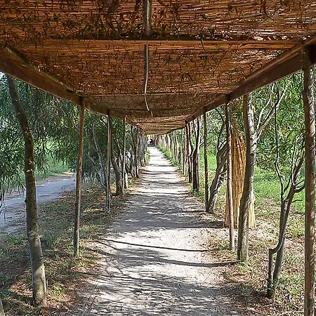 Apartamento Akiris Bilo